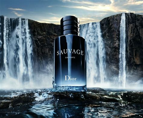 dior sauvage marshalls|sauvage eau forte dior.